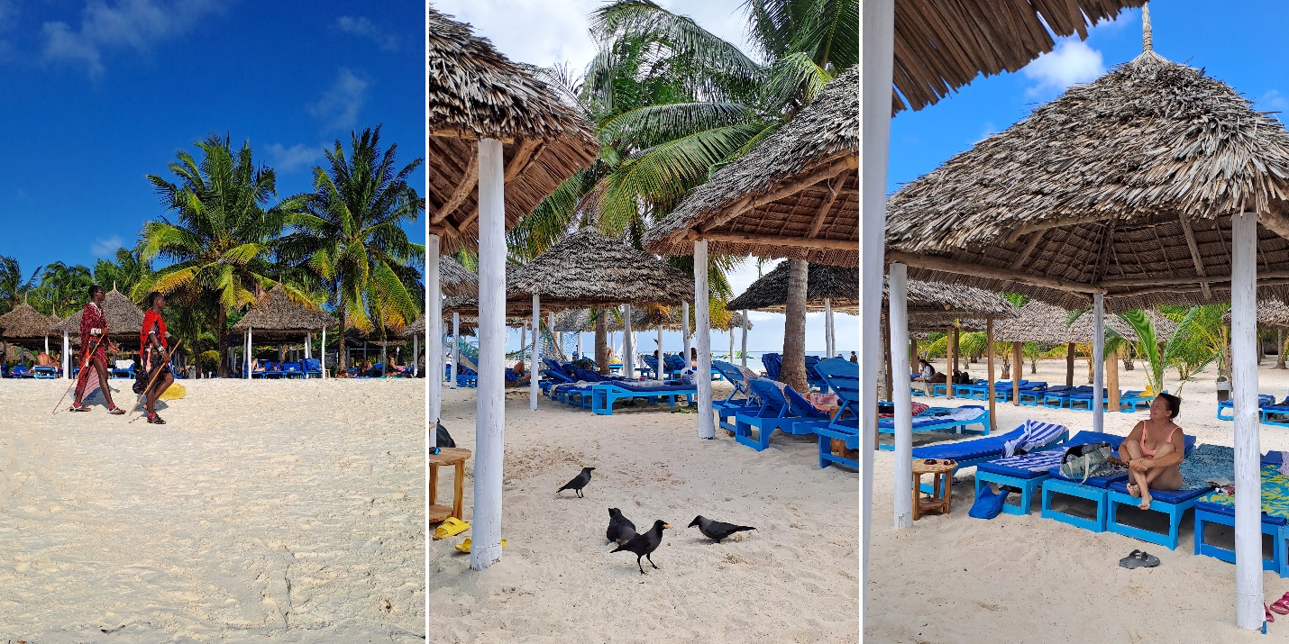 Kendwa plaža, Zanzibar Kendwa plaža na Zanzibaru sa belim peskom, palmama i velikim krošnjama koje prave hlad