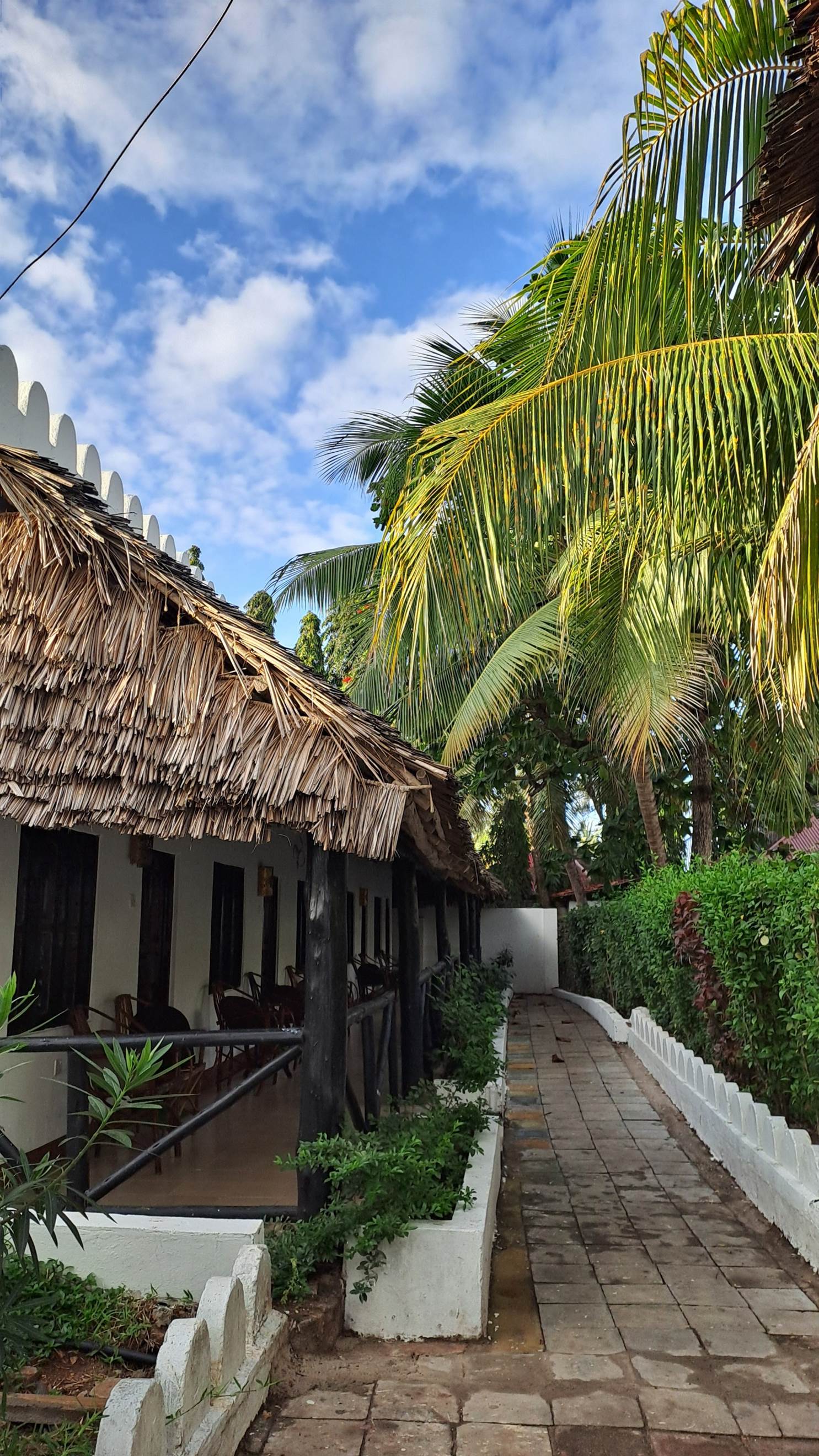 Zanzibar lep smeštaj, palme
