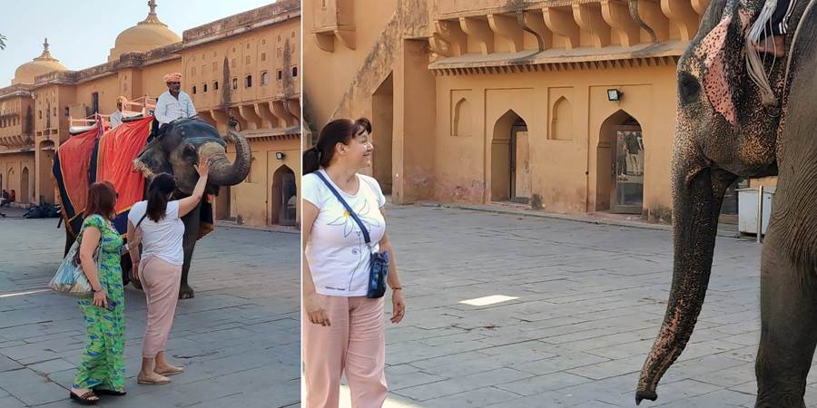 Slonovi, Agra fort