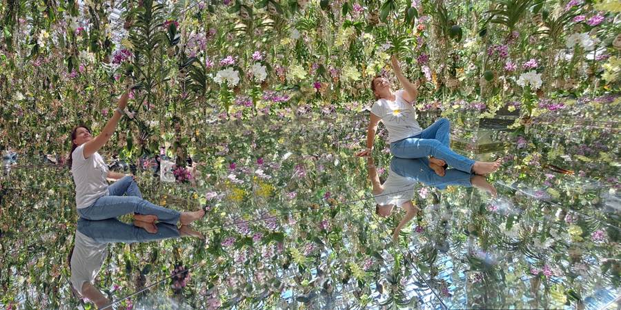 A person sitting in a garden