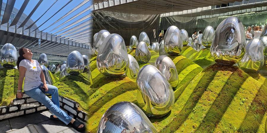 A group of silver eggs on a green hill