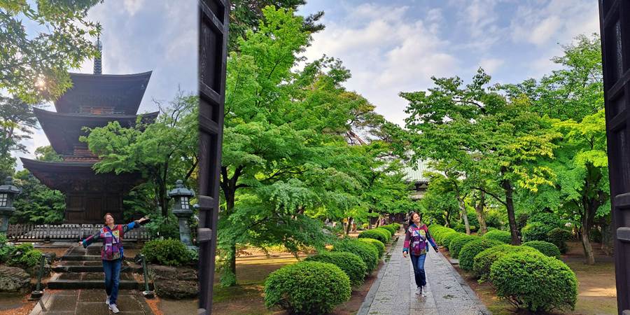 A person walking on a path with trees and bushes