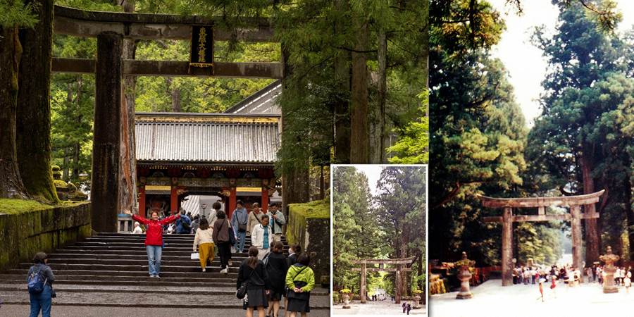 A collage of people walking in a park