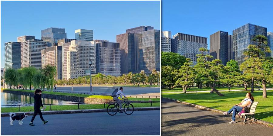 A person riding a bicycle in a park