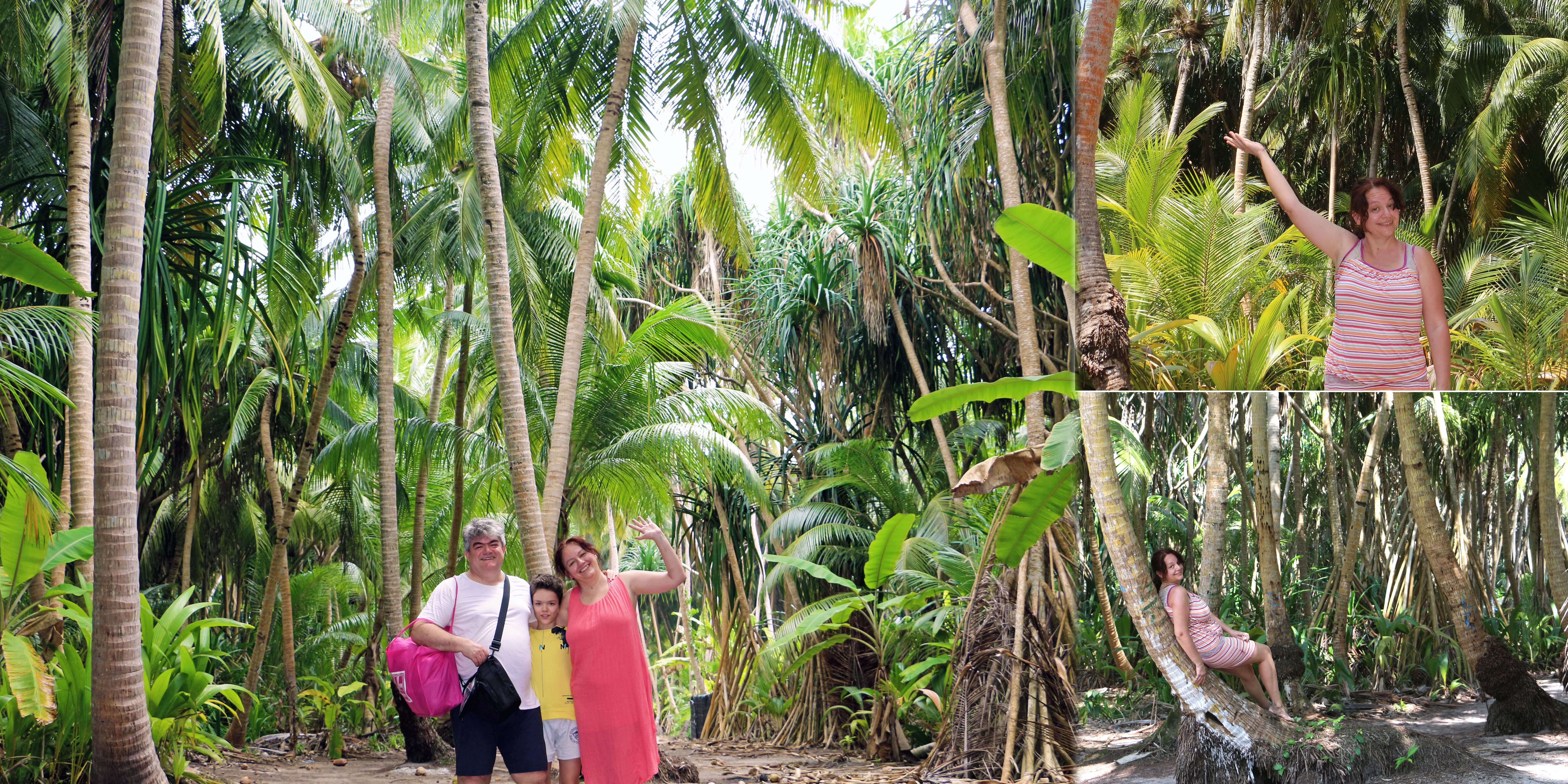 Dzungla, Maldivi