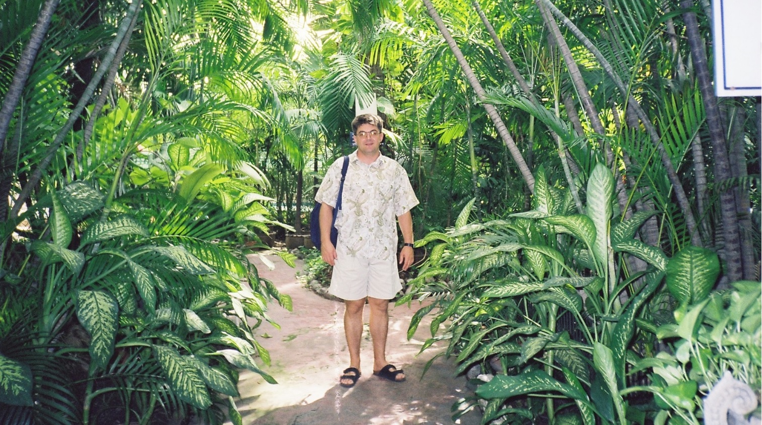 Atlanta, Bangkok, putopis