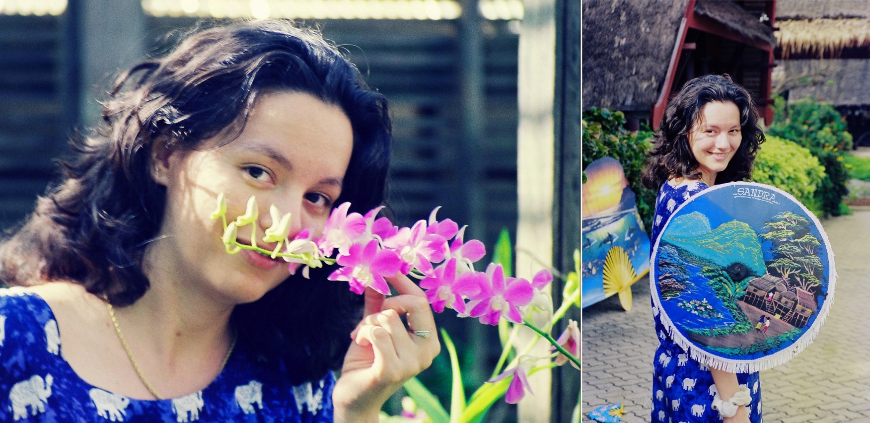 Orhideja, suncobran, Bangkok, putopis