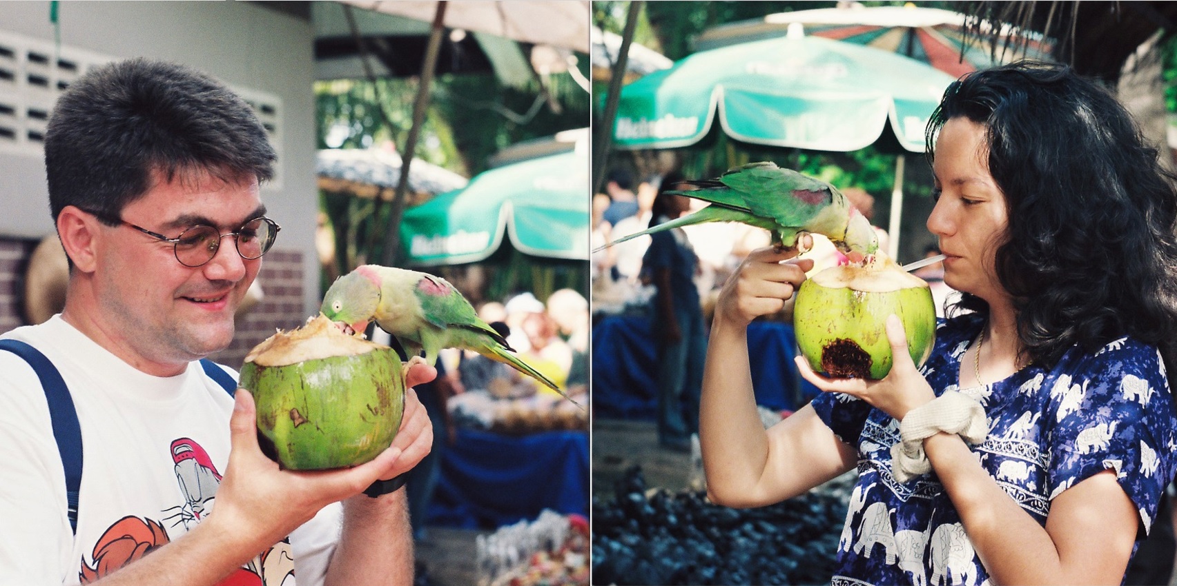 Papagaji, tigrovi, Bangkok, putopis