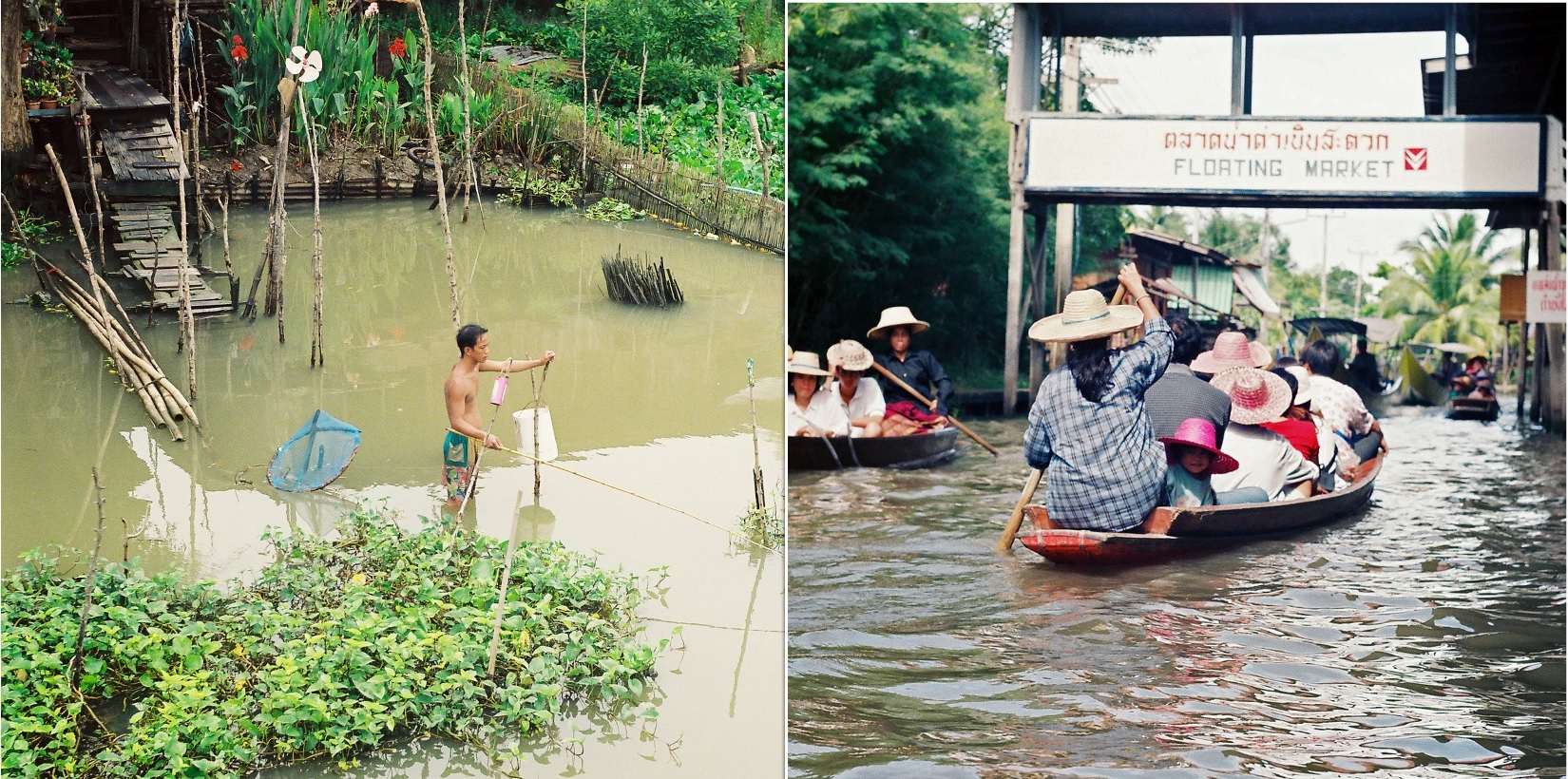 Ploveća pijaca, Bangkok, putopis